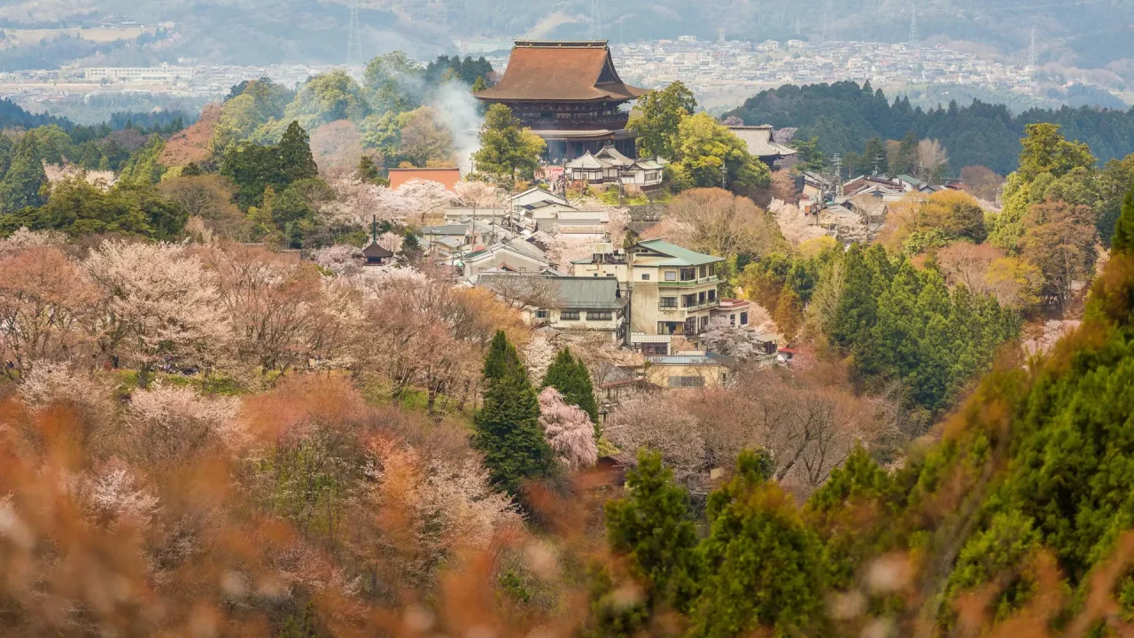 matt-palmer-6QxsqtZuRYE-unsplash