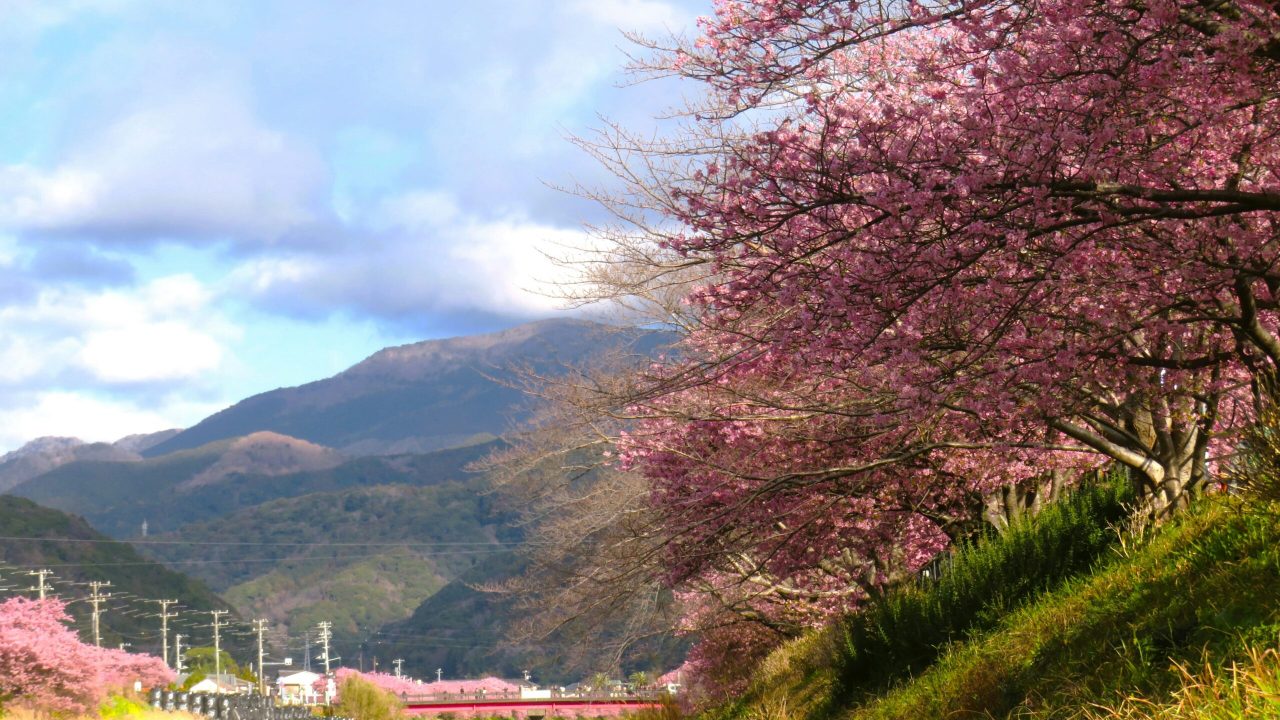 nolla-5eWoTV5uHRU-unsplash