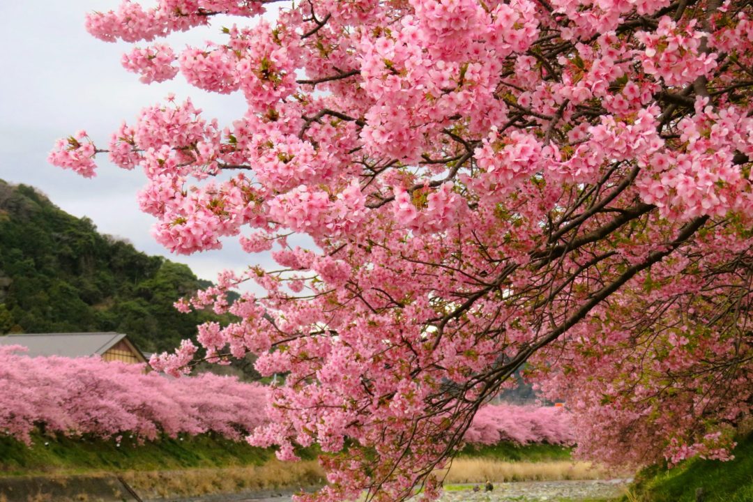 nolla-SYx2BjgsQUE-unsplash