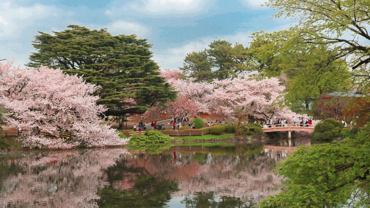 pexels-shreya-arora-43043560-8170034