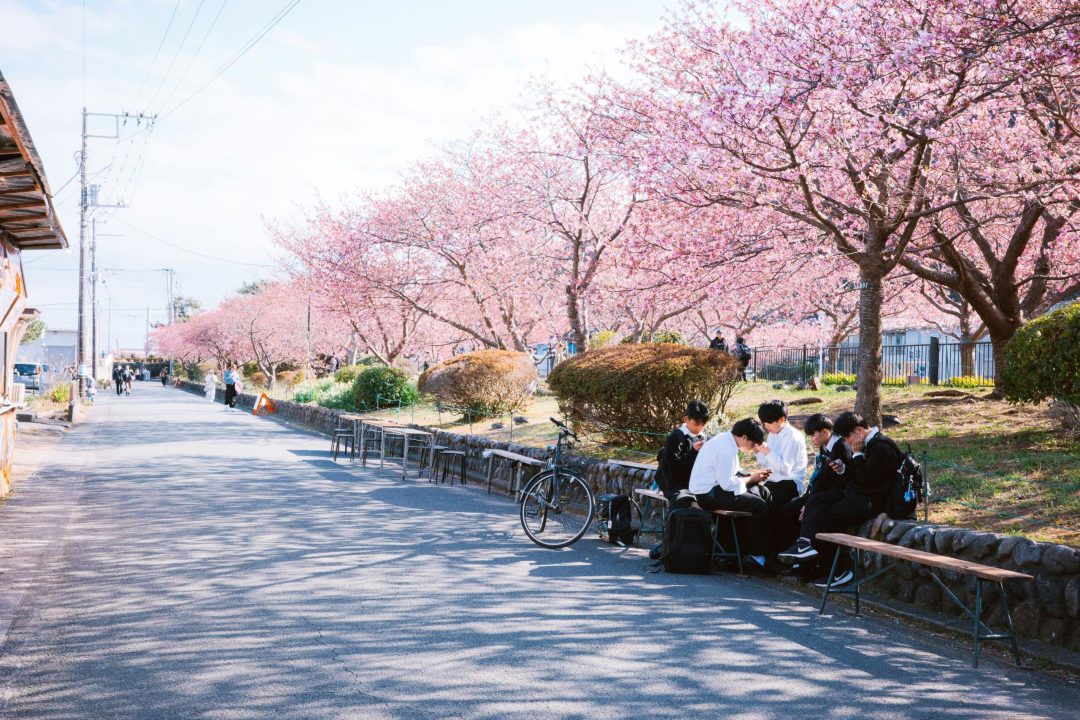 pjh-FDKCVuZHaS4-unsplash